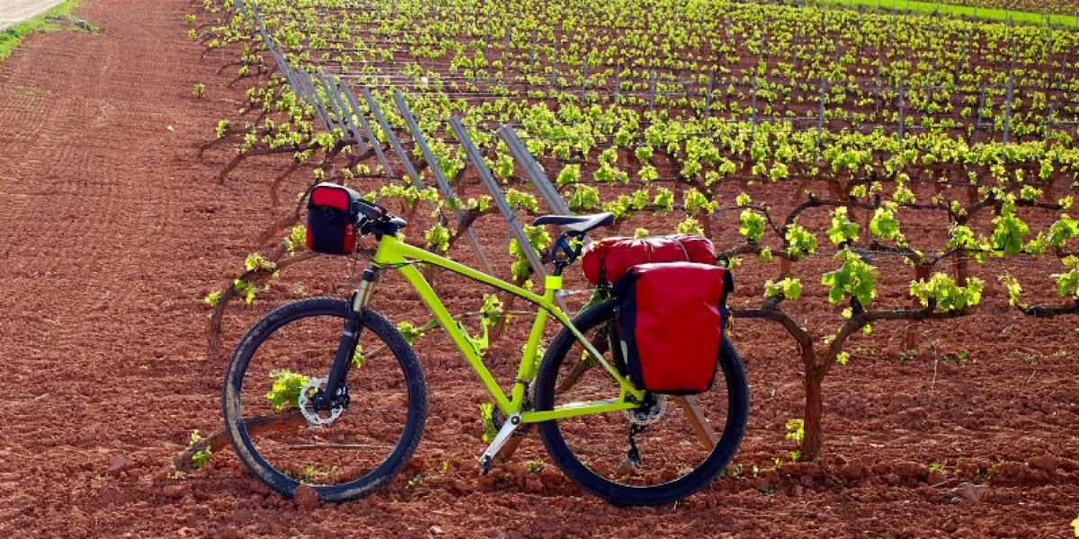 Pedal & Pour: A Wine Country Ride