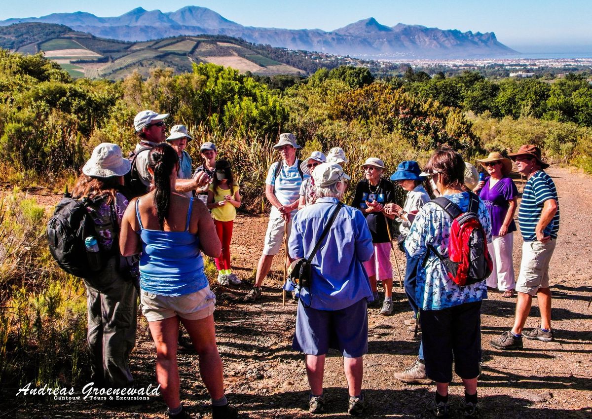 Fynbos Day Walk