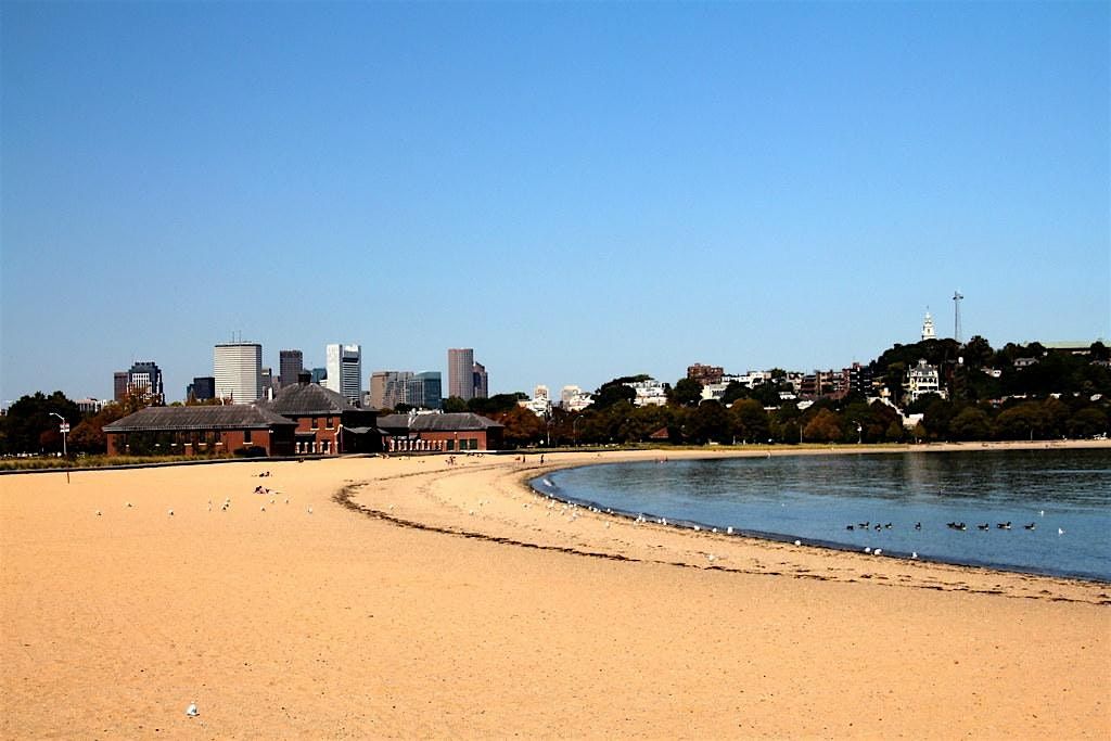 Beach Cleanup at Carson Beach