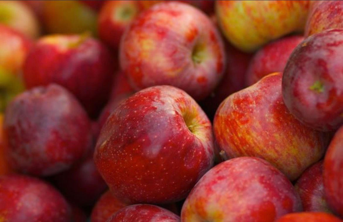 Aldersgate UMC Apple Butter Festival 