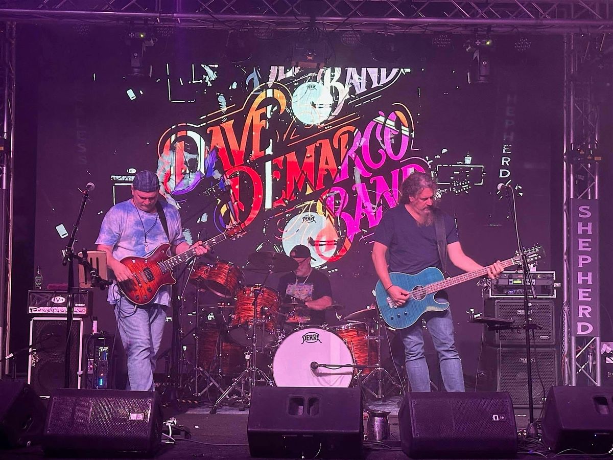 Local Artist Spotlight: Dave DeMarco Band