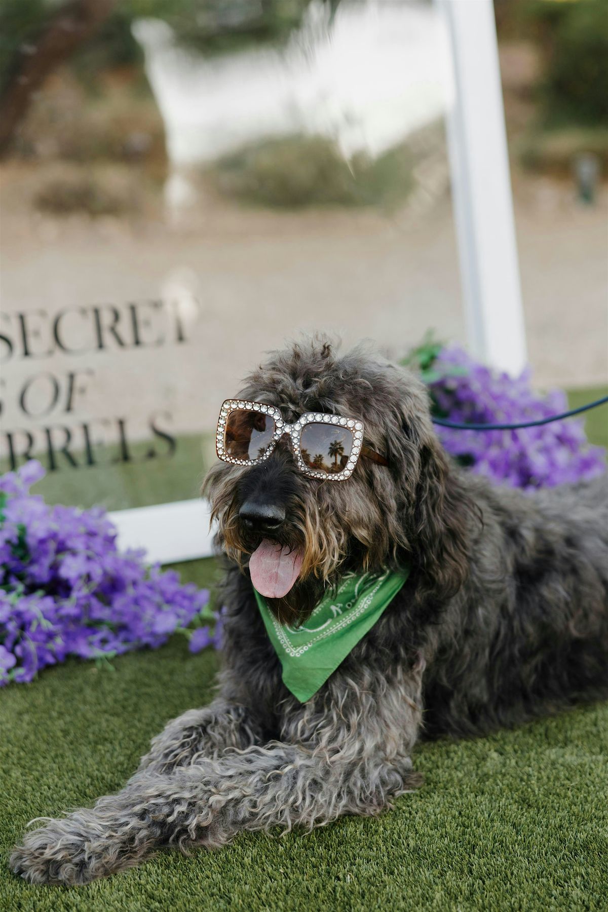 Yappy Hour