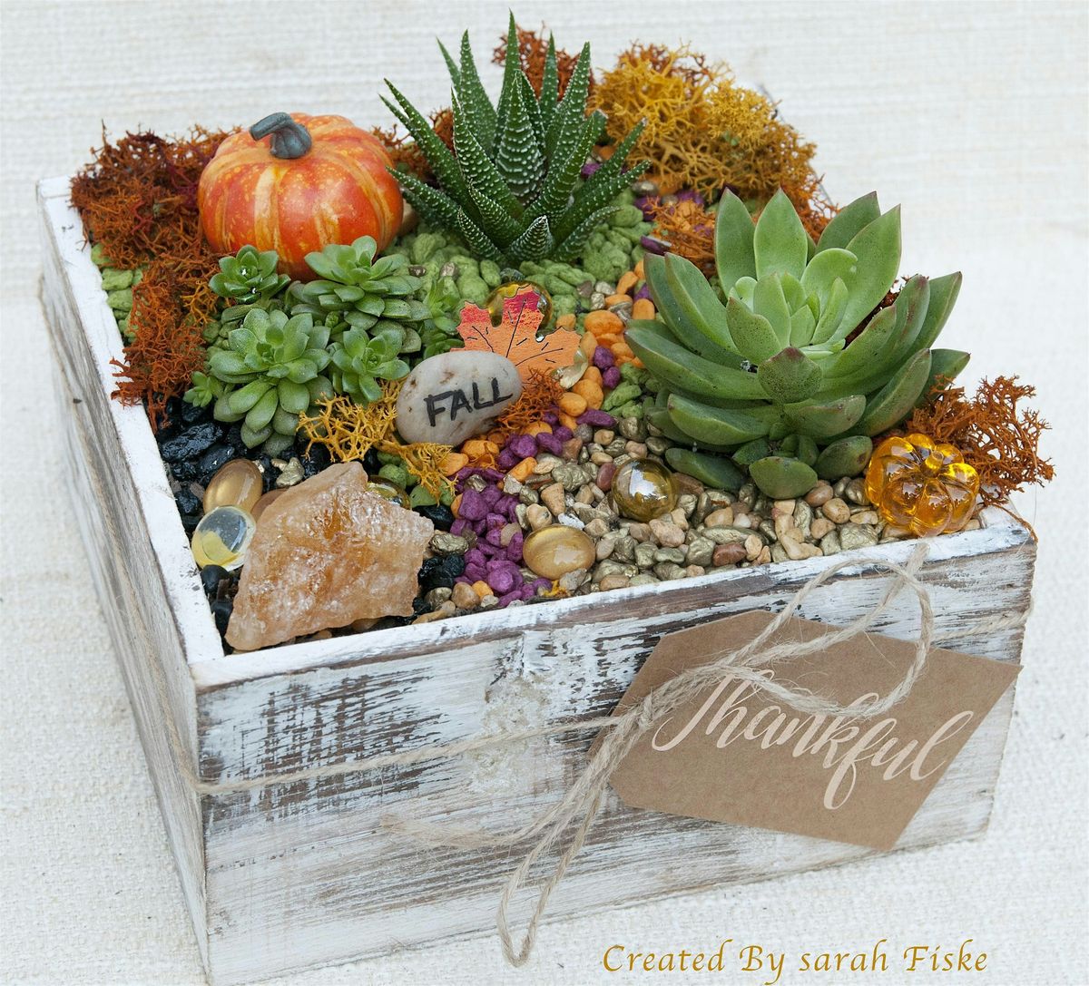 Plant Nite: Make a Succulent Terrarium