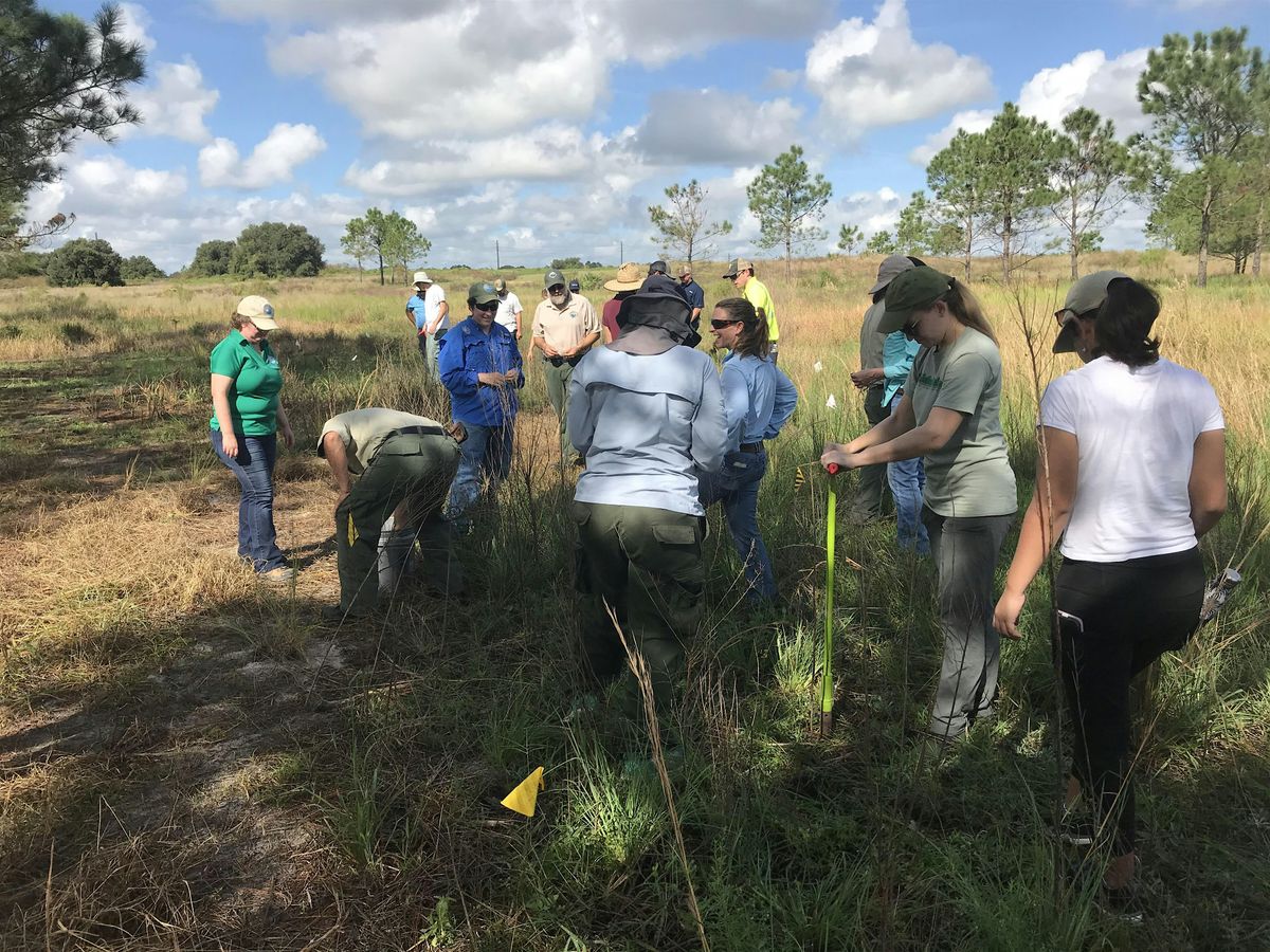 Field Experience: Management Techniques on Reclaimed or Restored Mine Lands