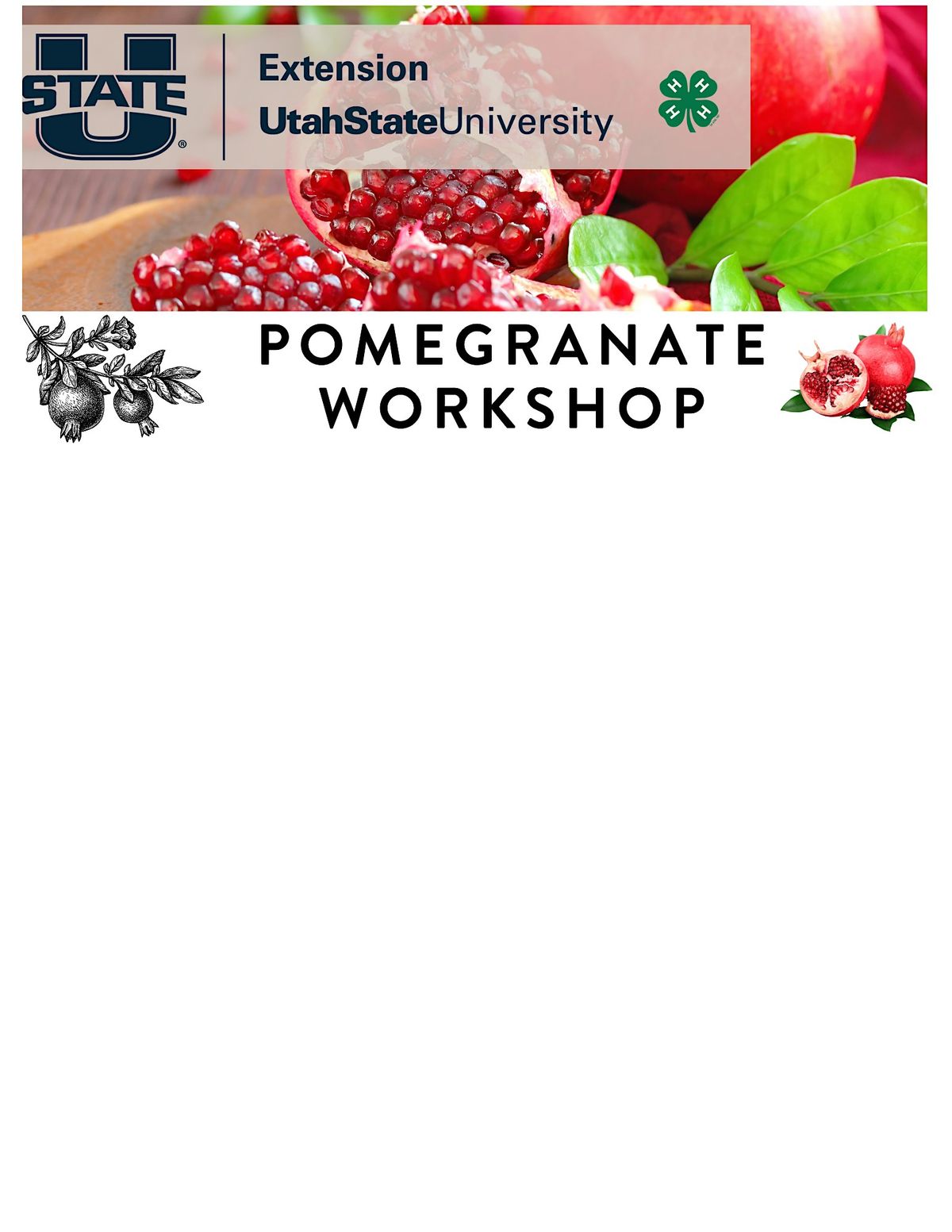 Pomegranate Class