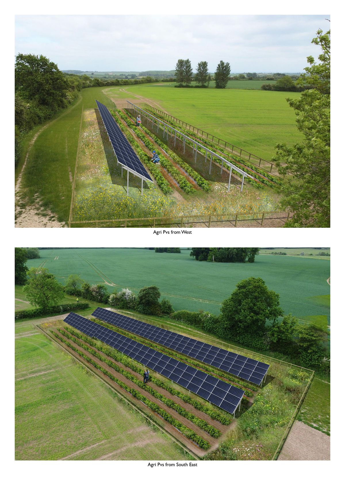 Solar, Food and Water CoLaboratory