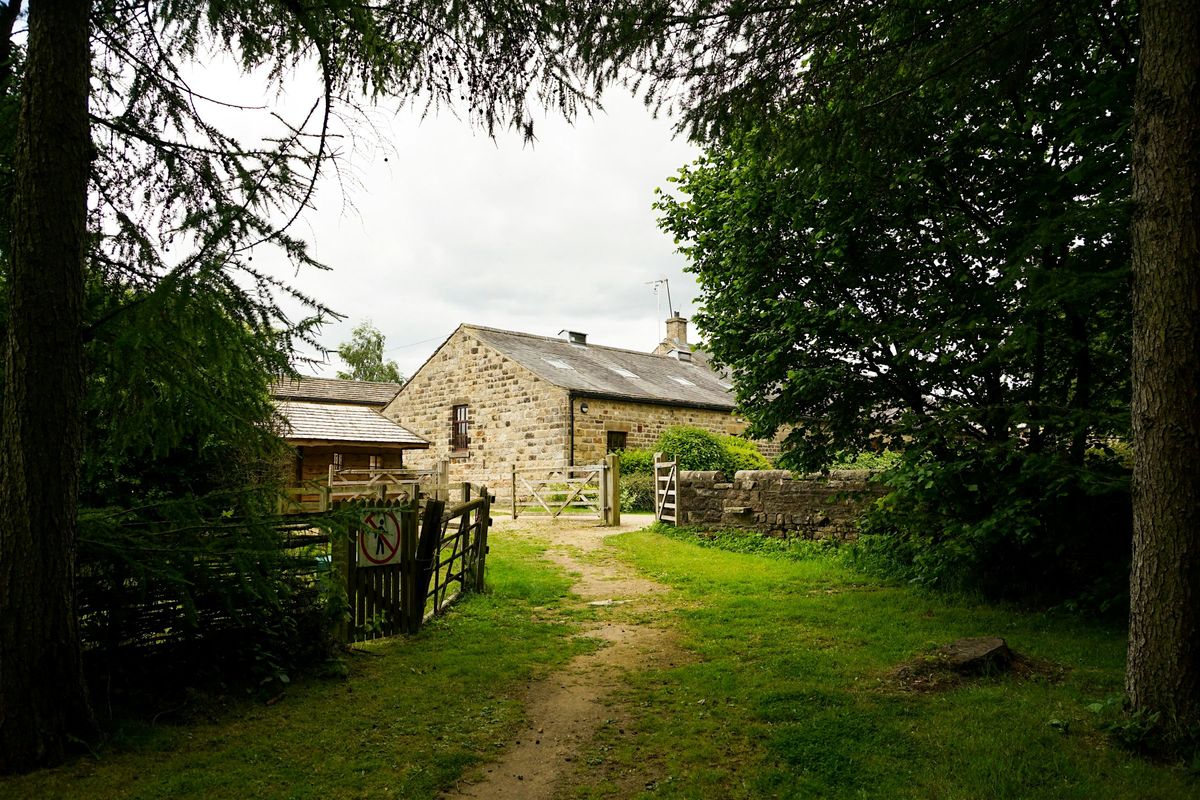 Wellness Walk - Networking at Lineham Farm