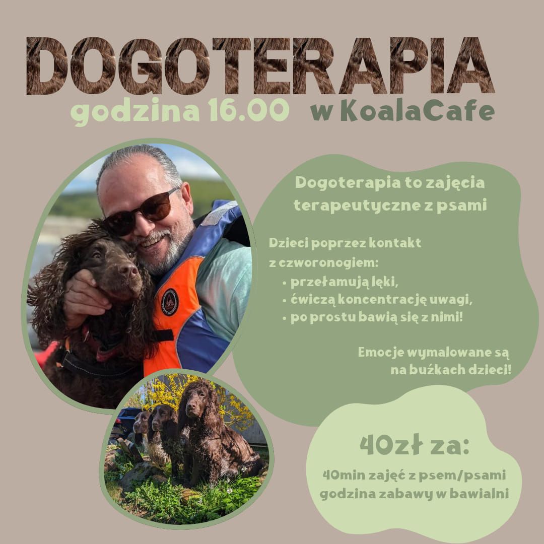 Dogoterapia w Koala Cafe