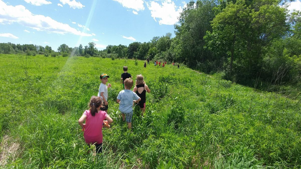 Scouts: Art In Nature