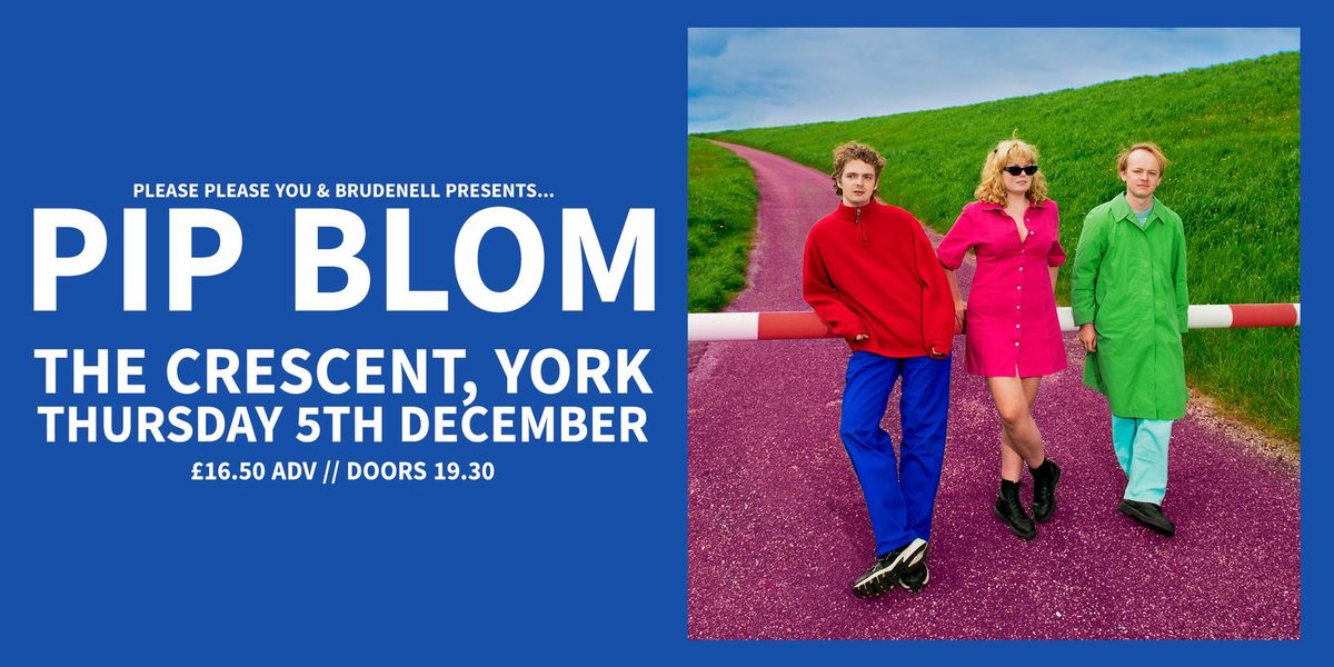 Pip Blom, Live in York