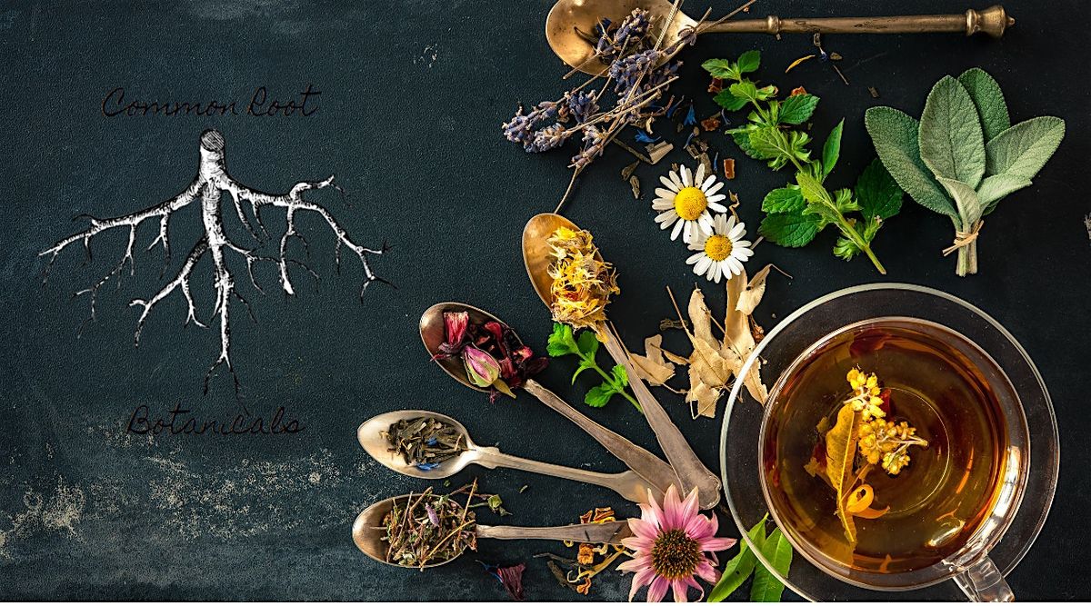 Tea Making Workshop w\/ Common Root Botanicals
