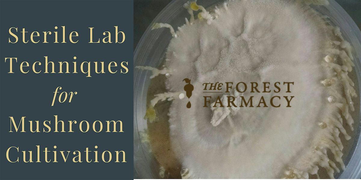 Lab Techniques for Mushroom Cultivation