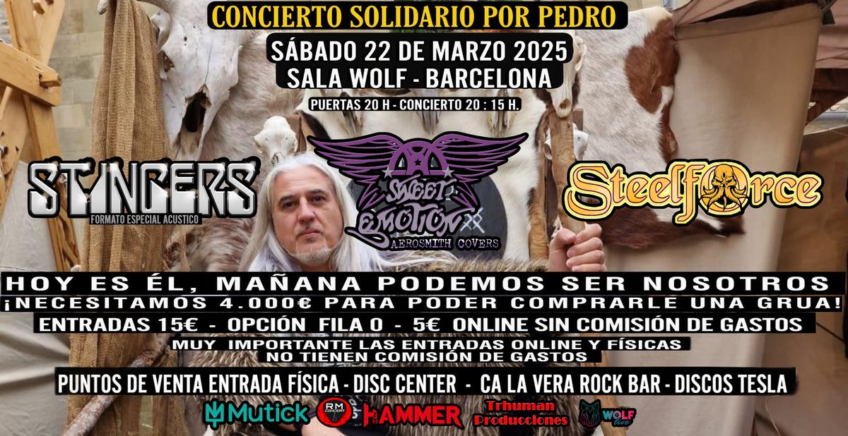 Concierto solidario por Pedro con Stingers, Sweet Emotion y Steelforce - 22 Marzo Sala Wolf Bcn