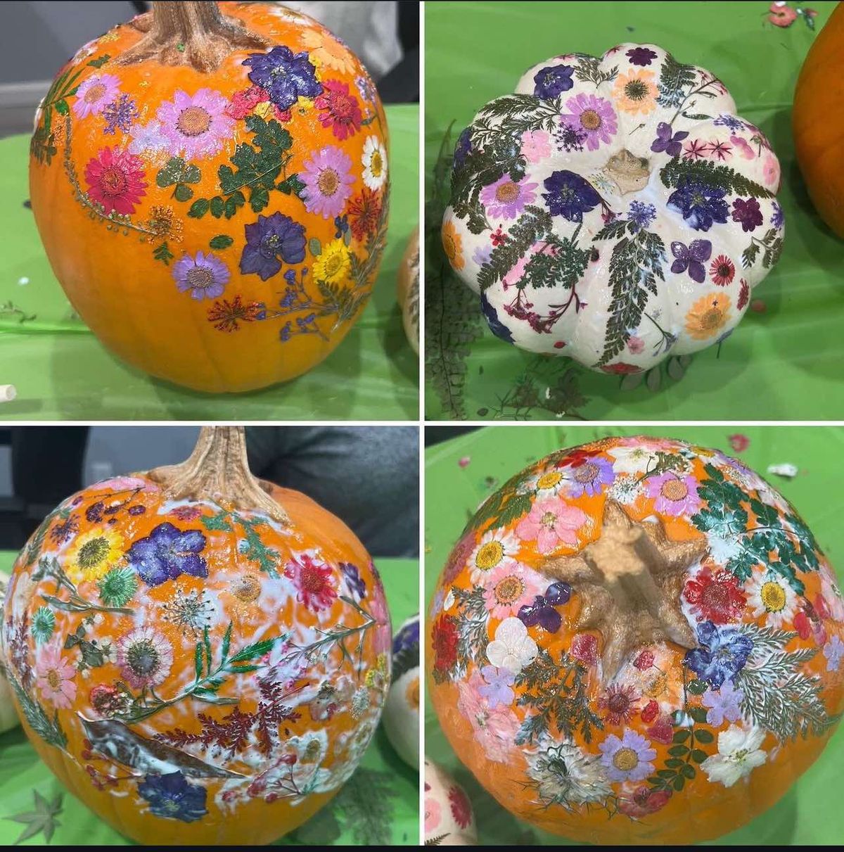 Dried Floral Pumpkin Workshop - Gilroy