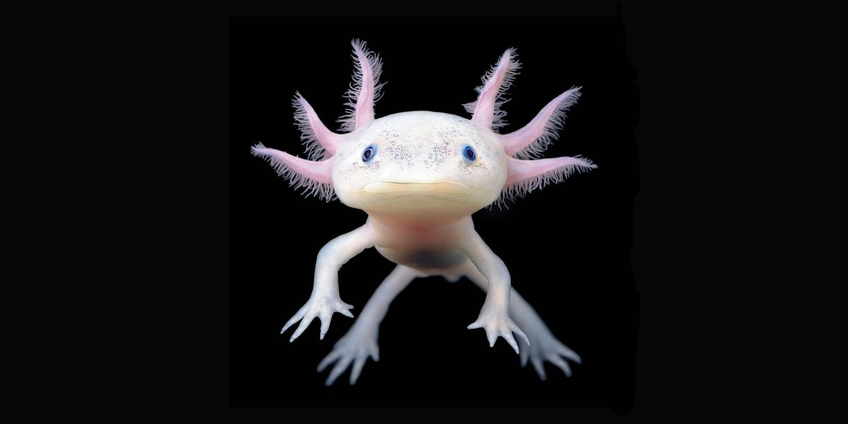 Realists of a larger reality: hybrid practices for a changing world