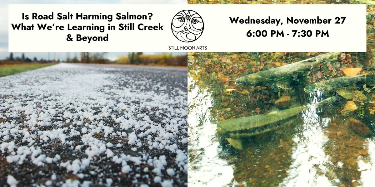 Is Road Salt Harming Salmon? What We're Learning in Still Creek & Beyond