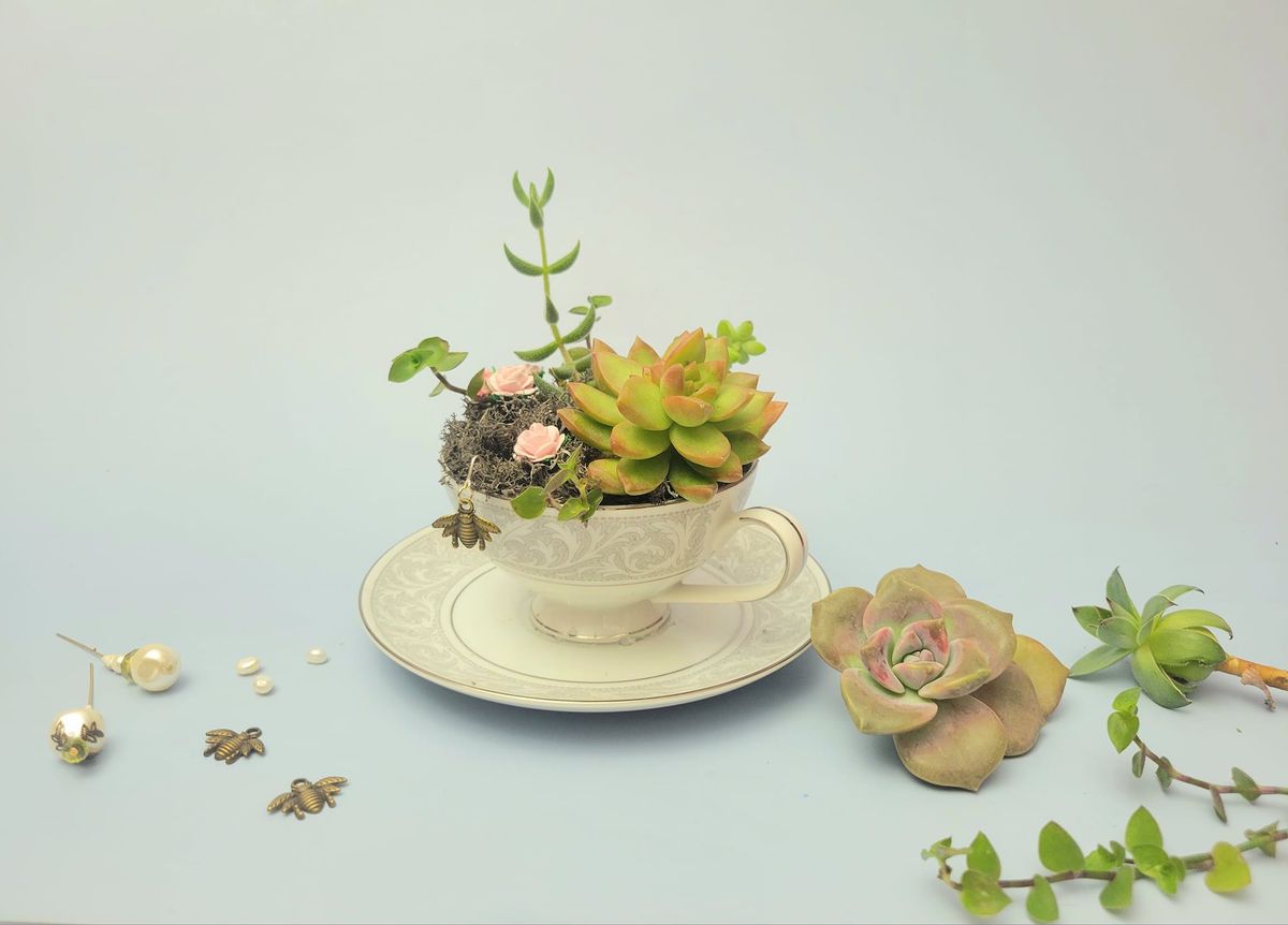 Succulent Tea Cup Planter & Tea Party