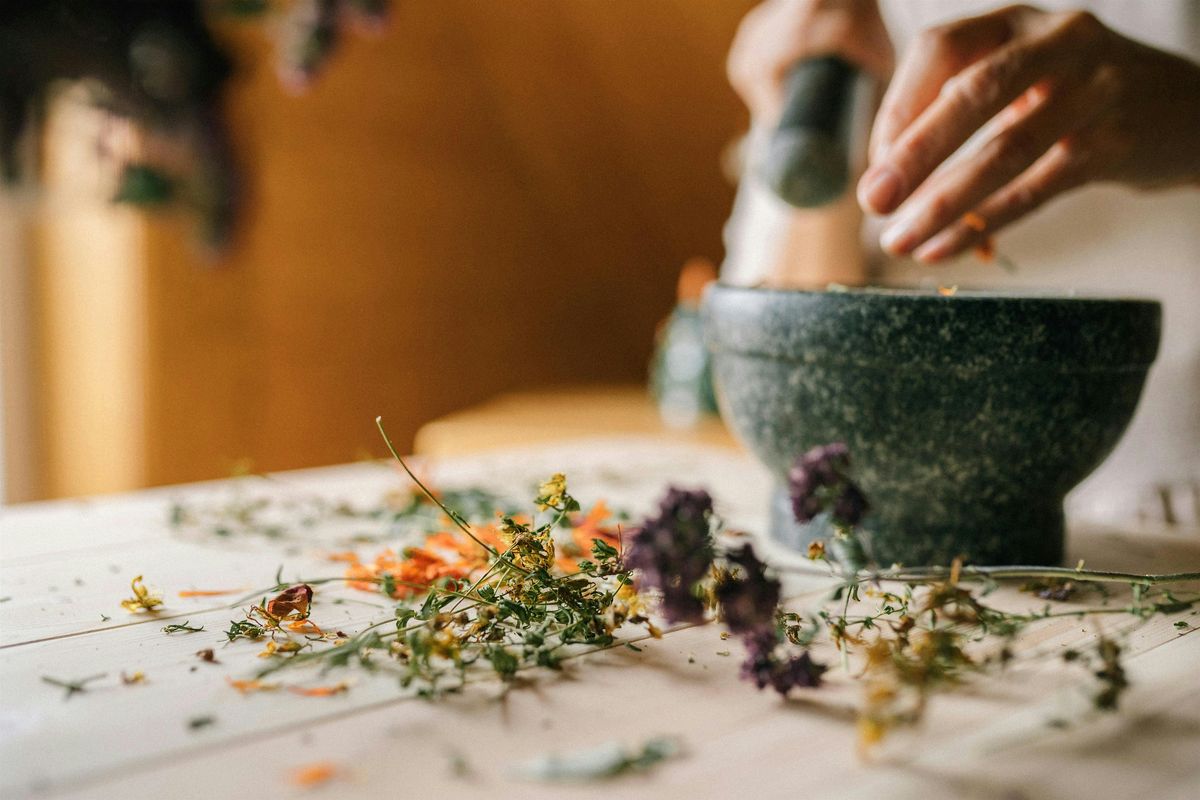 Afro Indigenous Herbalism: Black Cohosh
