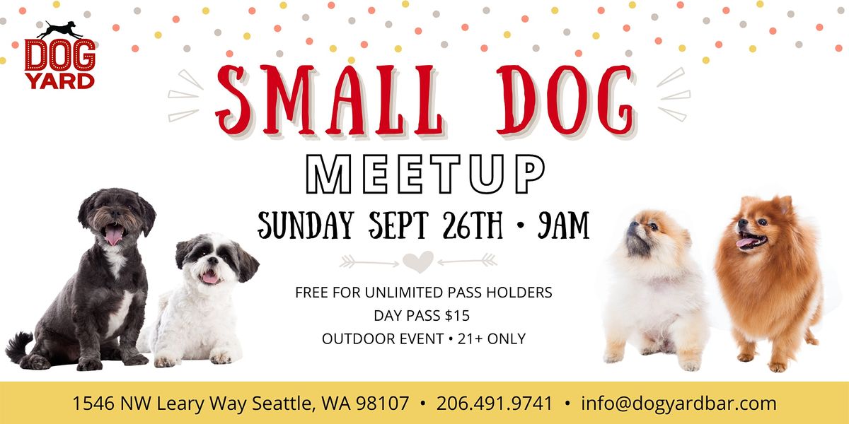Small Dog Meetup at the Dog Yard in Ballard