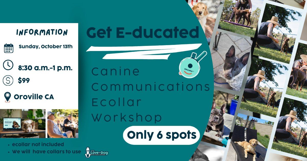 Get E-ducated Canine Communication Ecollar Workshop