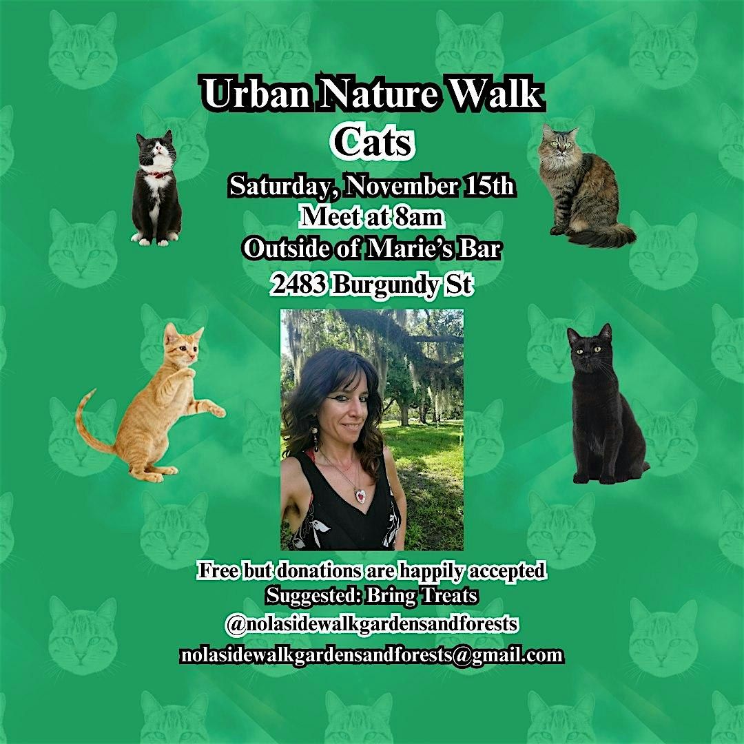 Urban Nature Walk-Cats