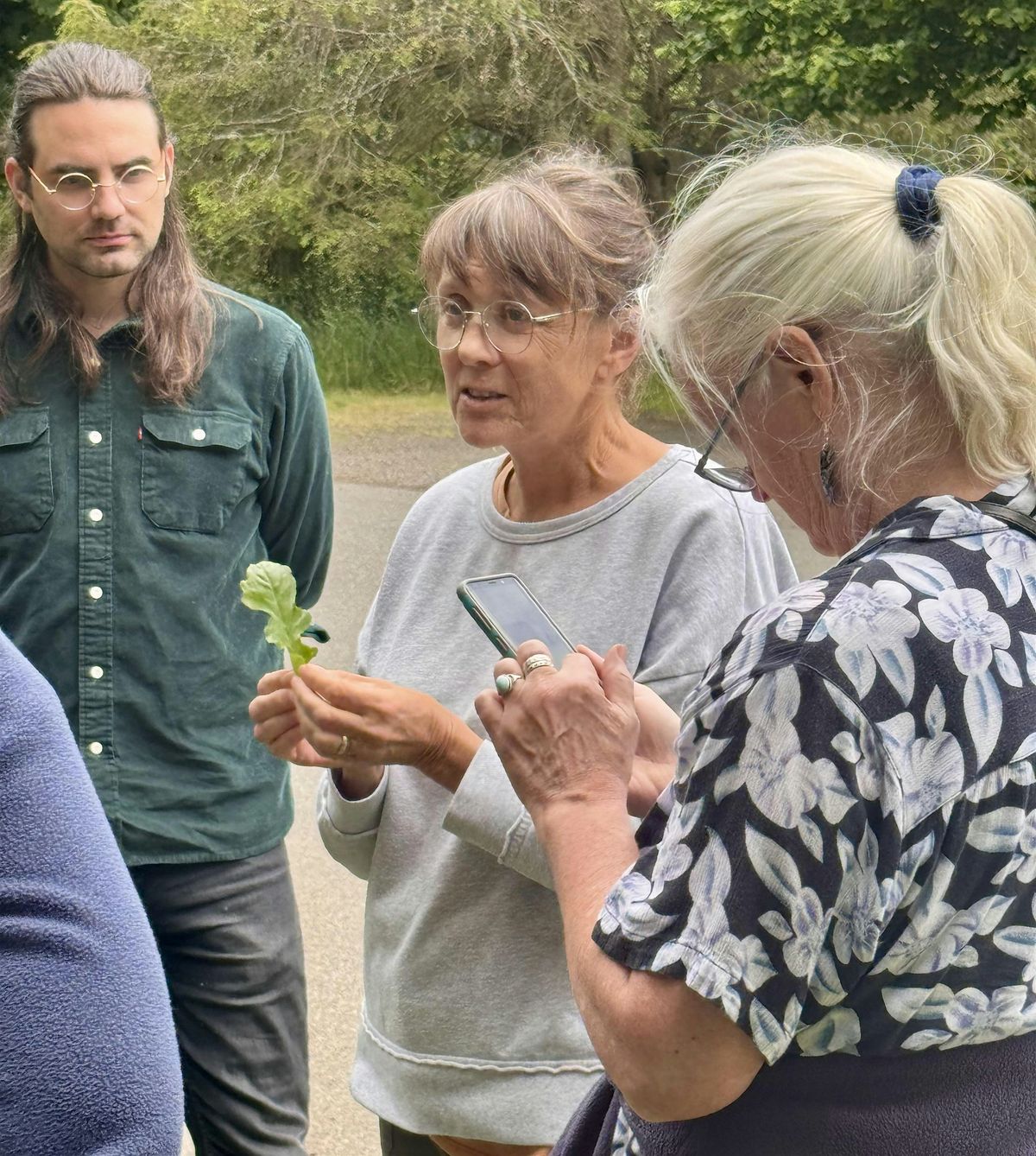 Urban Foraging