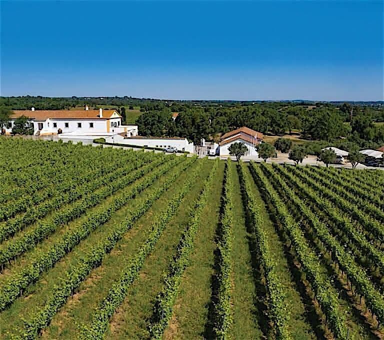 Portuguese wine discovery tour: From Albari\u00f1o to Porto