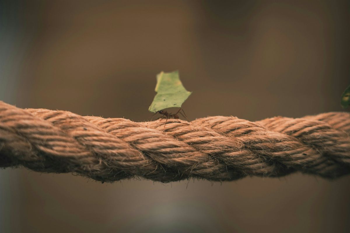 Resilience in Business: How to Keep Going