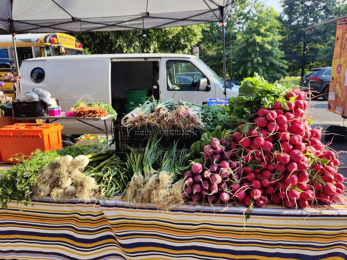 HHFM Harlem Hospital Market