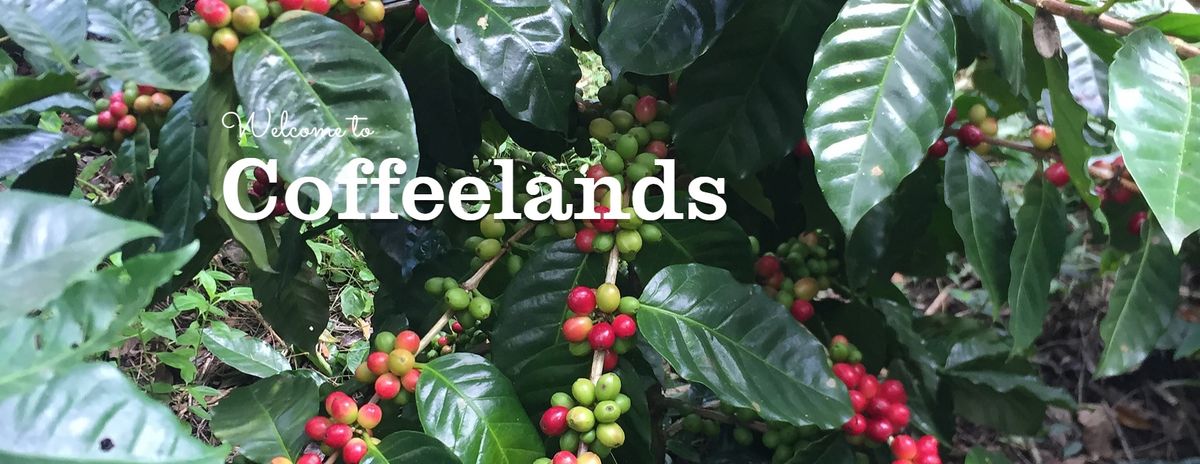 Coffeelands Rutland Grand Opening