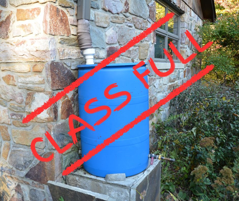 Rain Barrels Made Easy: Save Water, Save Money, One Drop at a Time!