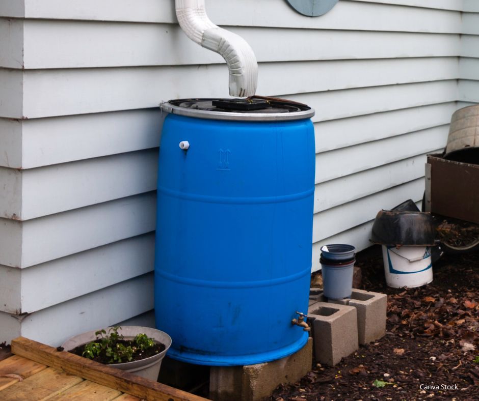 Rain Barrels Made Easy: Save Water, Save Money, One Drop at a Time!