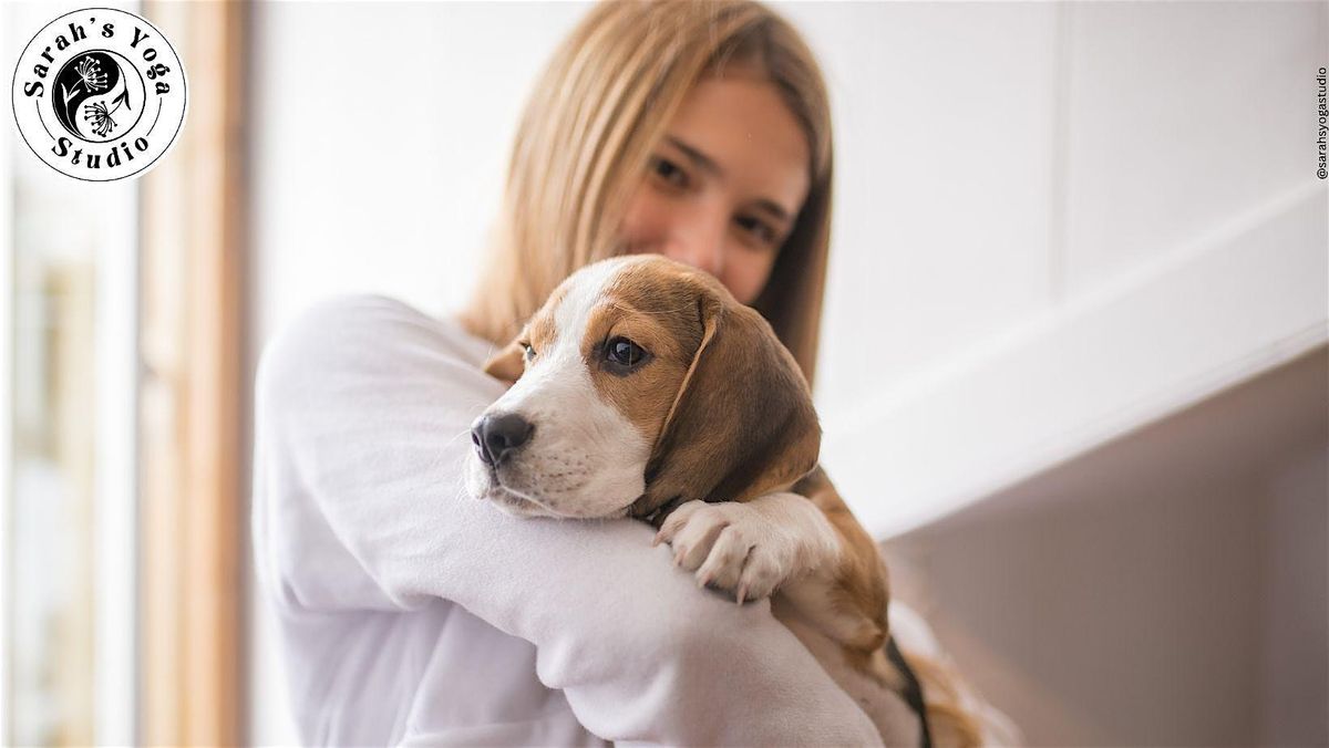 Puppy Yoga at Larks Entertainment - KC with Sarah's Yoga Studio