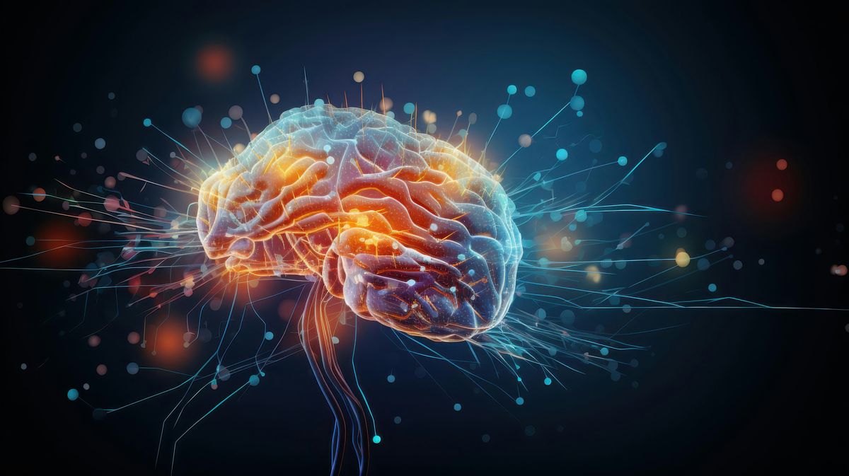 The body inside out: From experience to perception and back