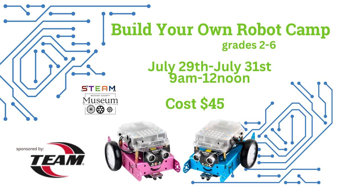 Build Your Own Robot Camp
