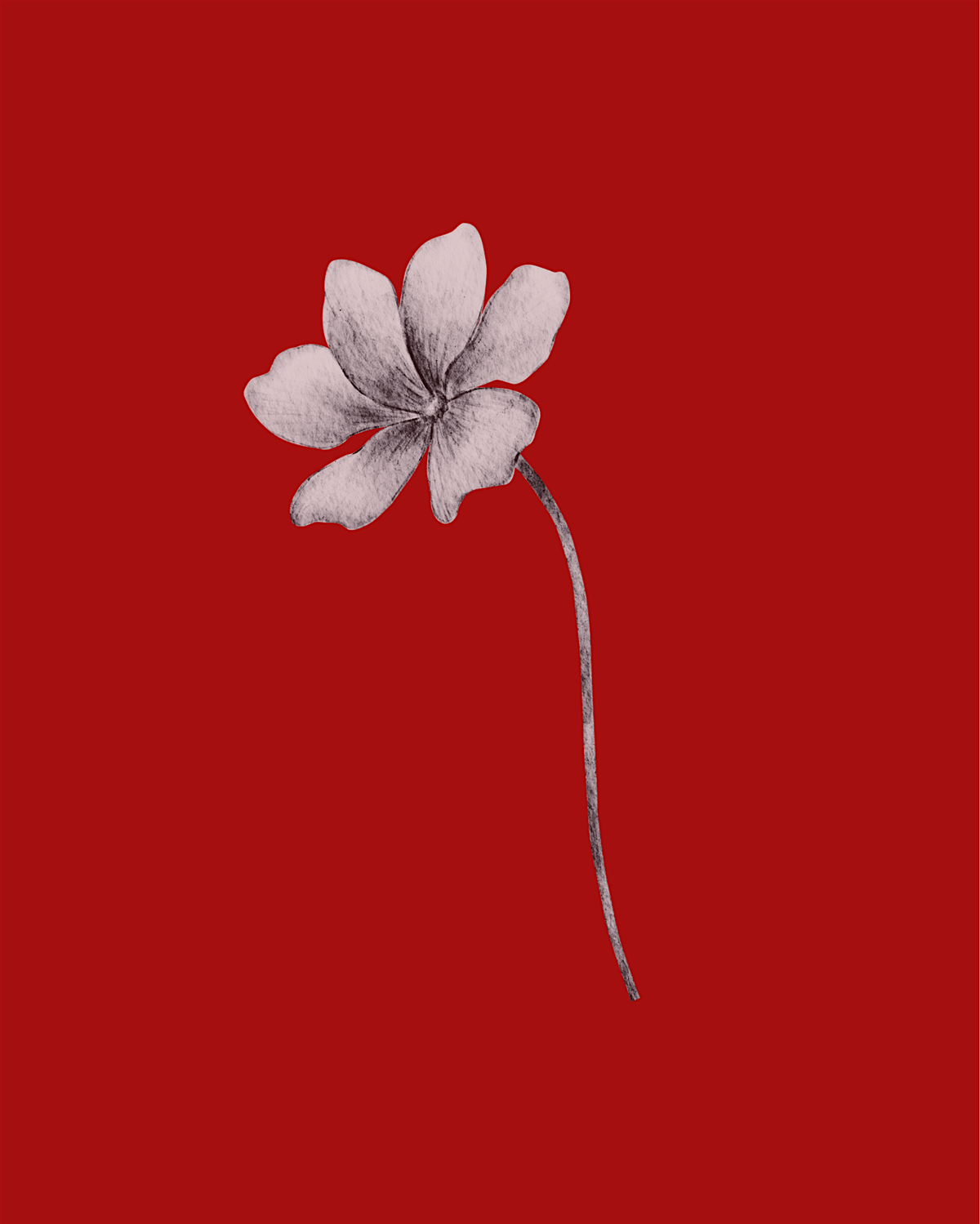 BHAGSVOTA PRESENTS: THE VULNER*ABILITY To Be A WILDFLOWER  by Brenden Lewis