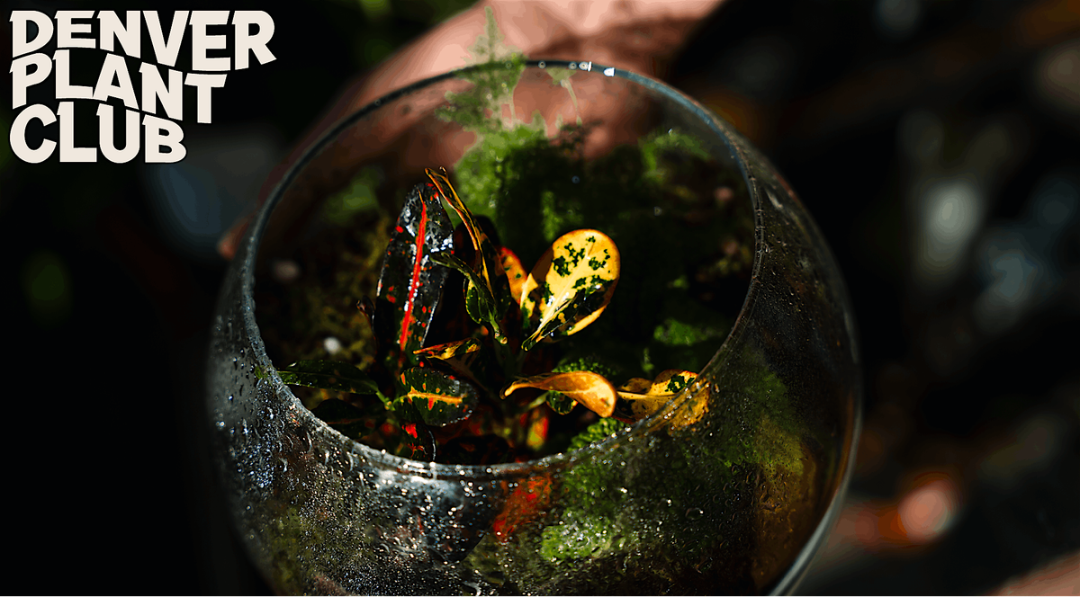 Terrarium Workshop with Denver Plant Club (10\/25\/25)