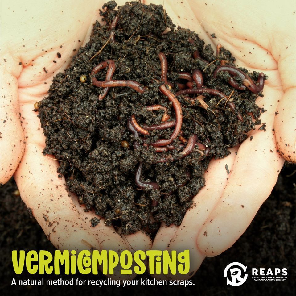 Vermicomposting 101, The Exploration Place, Prince George, 14 August 2022