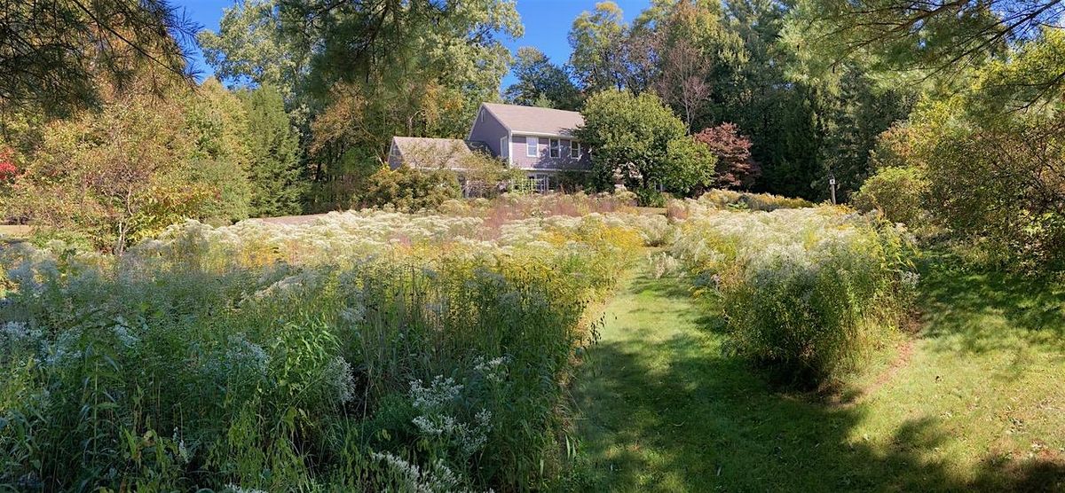 Incorporating Meadows into Designed Landscapes with Owen Wormser