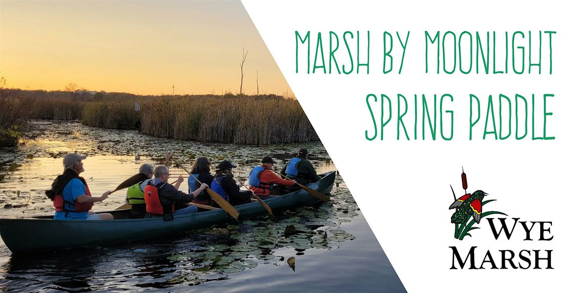 Marsh by Moonlight Spring Paddle at Wye Marsh