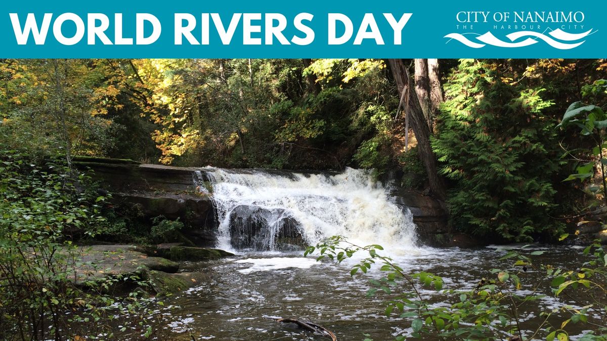 Rivers Day 2024