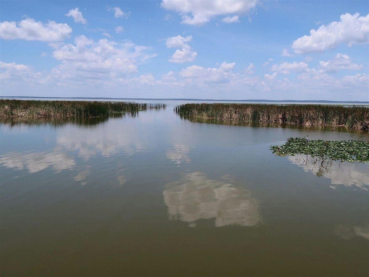 Lake Apopka Carpool Adventure (Pre-registration required)