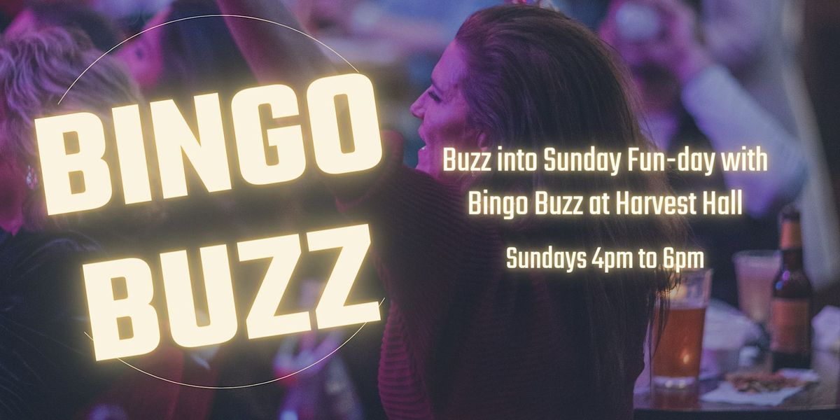 Bingo Buzz | Sunday Fun at Harvest Hall!