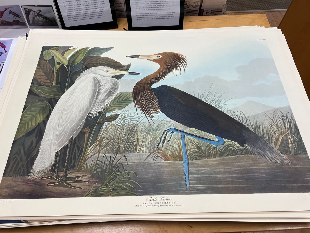 John James Audubon: A Visionary Artist \u2013 Presentation by Tom Lamb