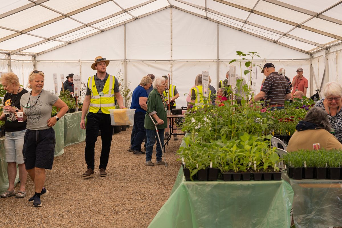 Plant Fair 2025