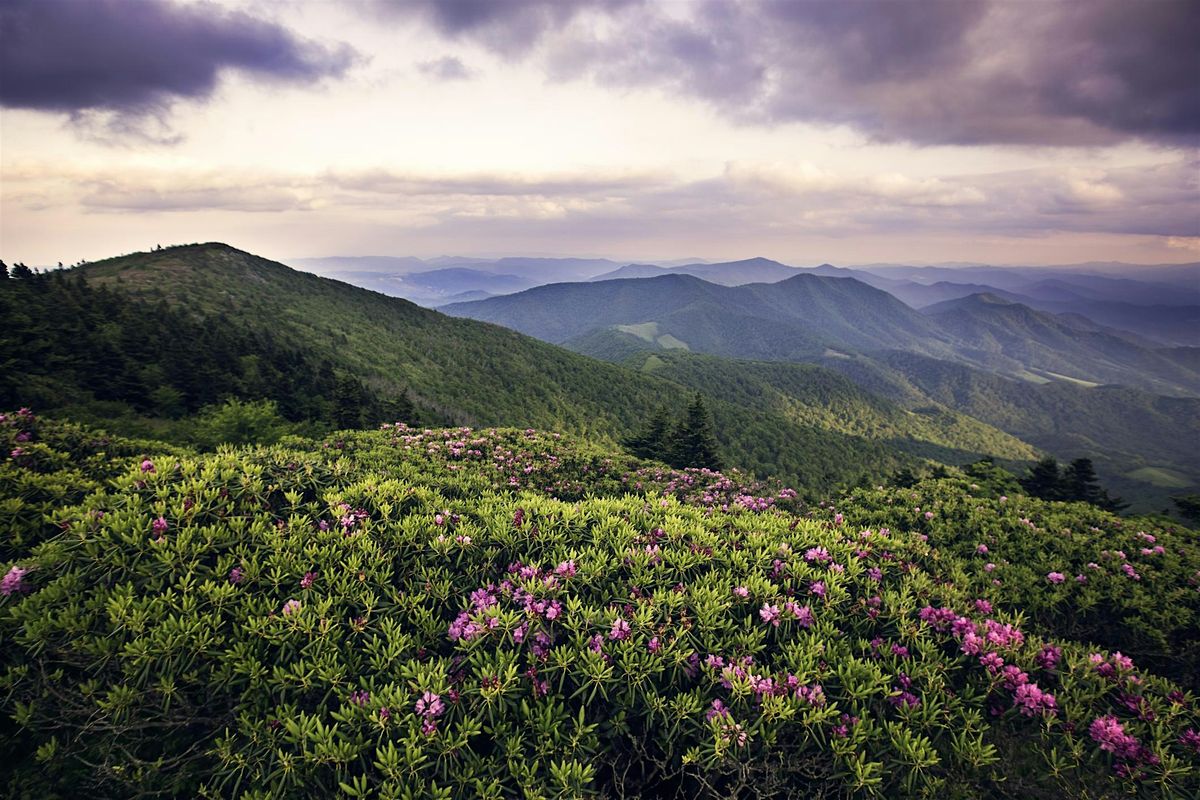 Geology of the Blue Ridge II