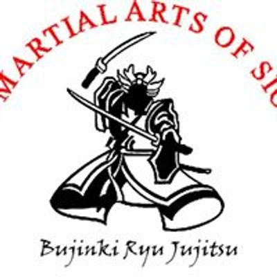 Dynamic Martial Arts of Sioux Falls