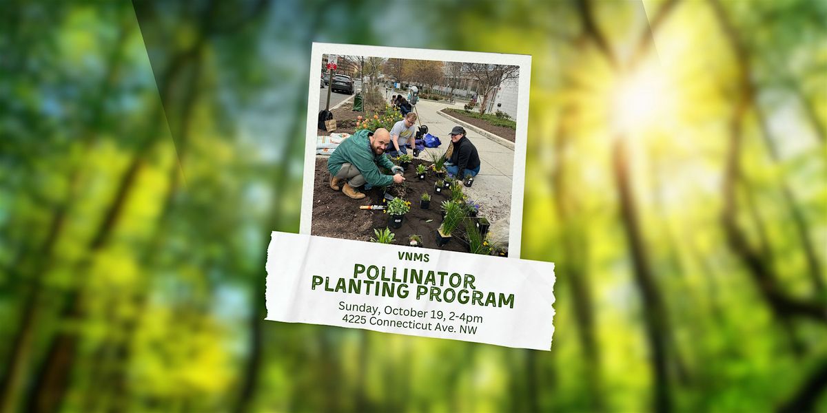 Volunteer with the VNMS Pollinator Planting Program!