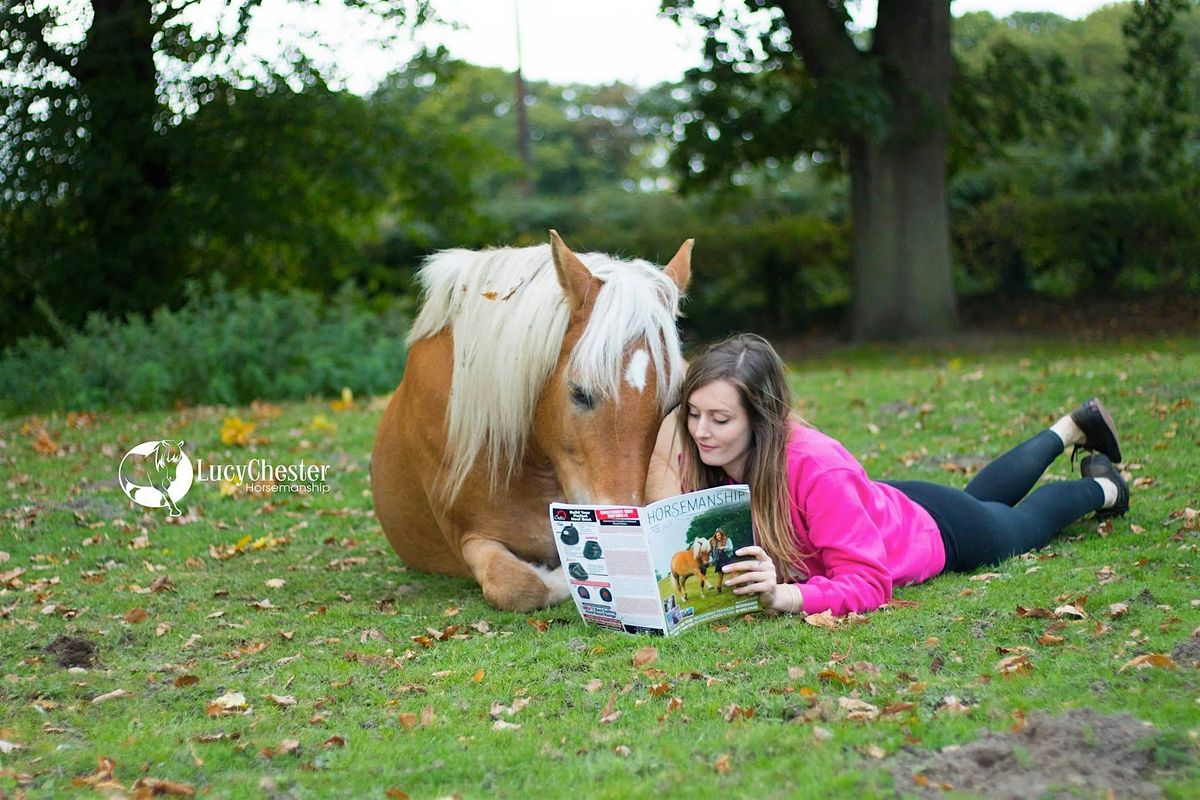 Understand Equine Body Language & Behaviour to Improve Your Relationship