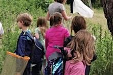 DLR Biodiversity Minibeasts Safari. Meet at the Coffee Shop in Fernhill.
